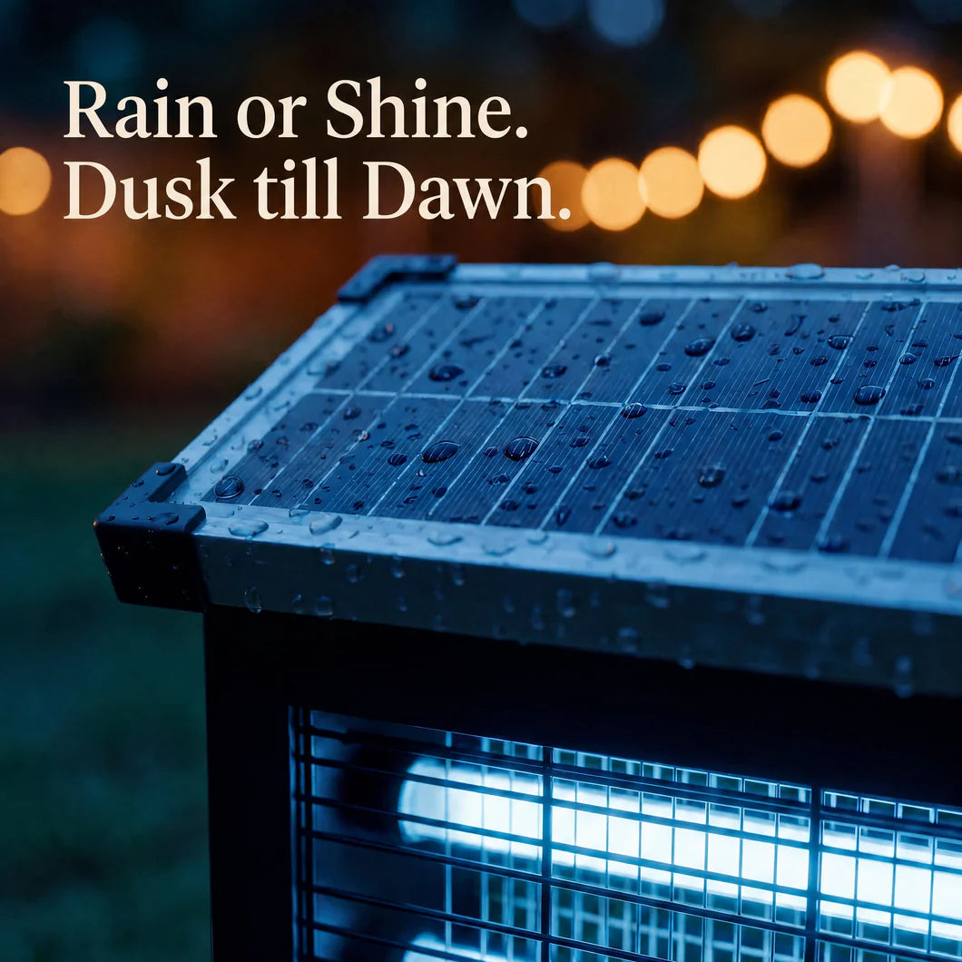 Solar Bug Zapper