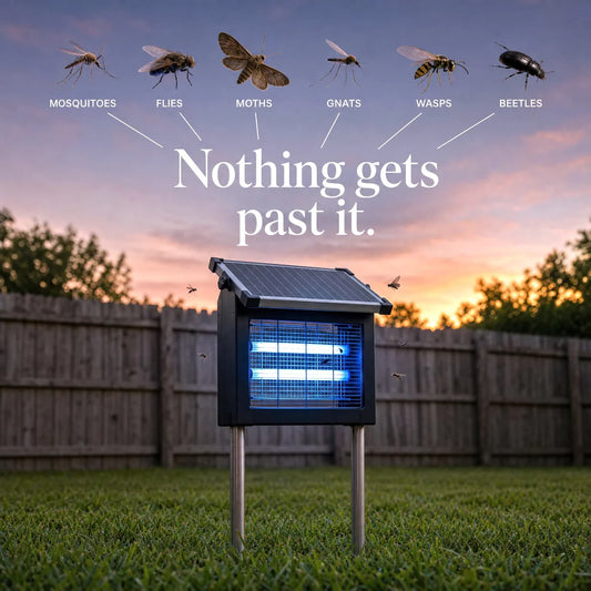 Solar Bug Zapper